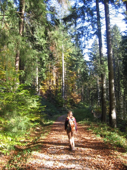 Germany 028