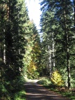 Germany 030