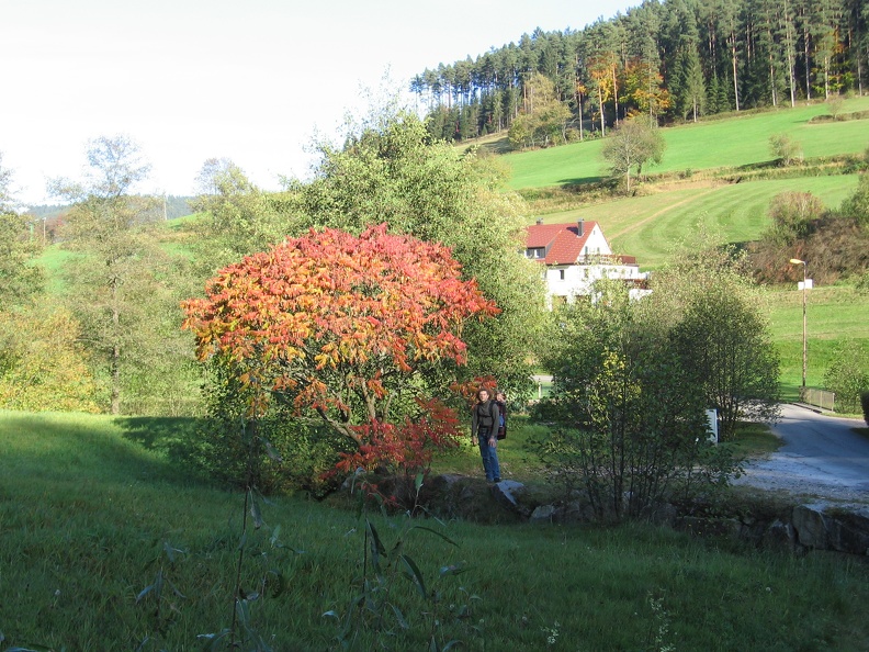 Germany 039