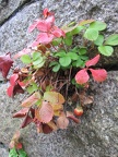 Germany 073