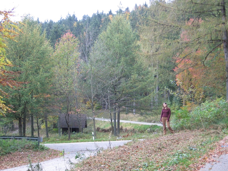 Germany 081