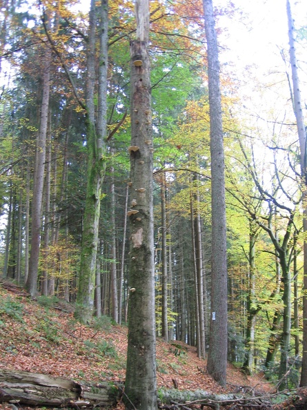 Germany 093