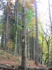 Germany 093