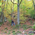Germany 201