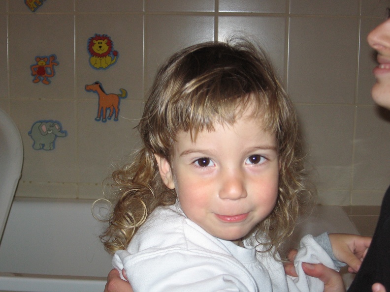 Meir 017