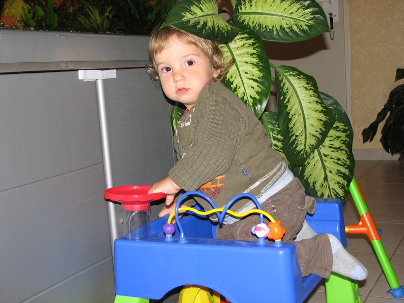 Meir_20070318