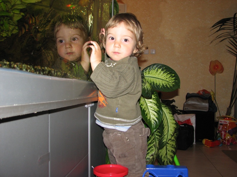 Meir1_20070318