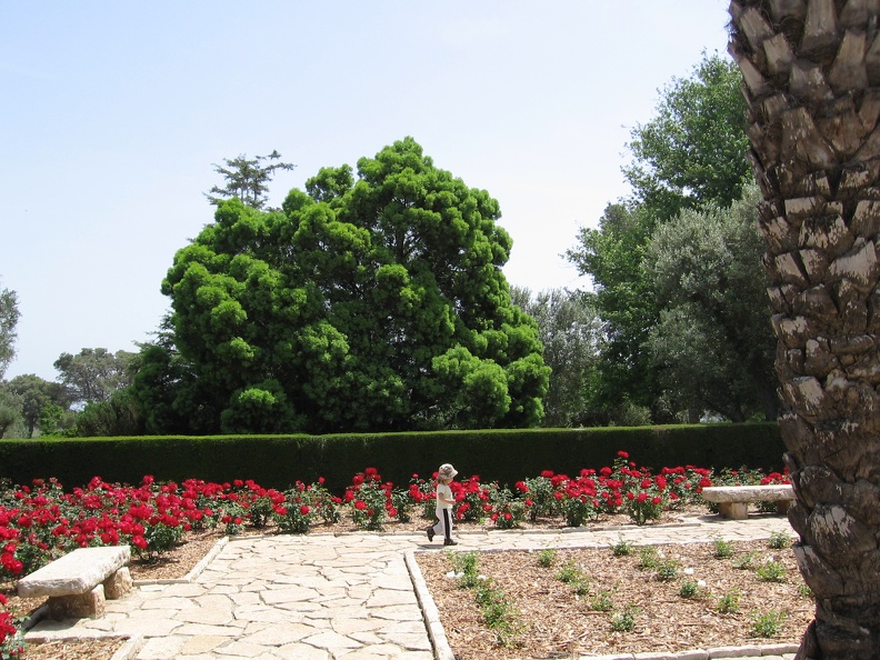 Ramat Ha-Nadiv 007