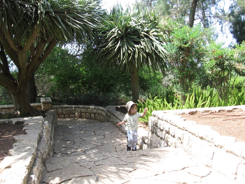Ramat Ha-Nadiv 027