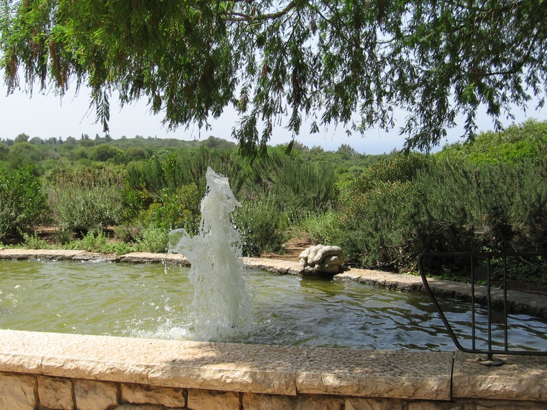 Ramat Ha-Nadiv 029