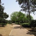 Ramat Ha-Nadiv 032