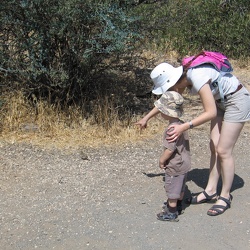 Banias, 19-Jul-2008