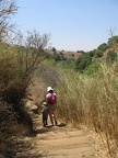 Golan 029