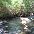 Golan 065