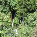 Golan 027