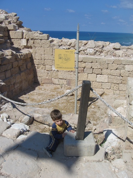 Apollonia 009