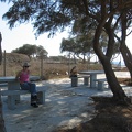 Apollonia 030