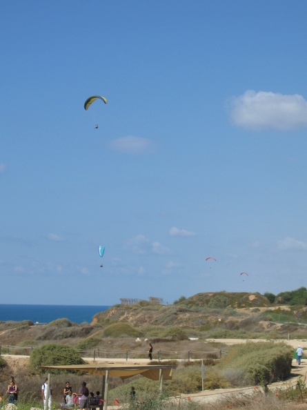 Apollonia 033