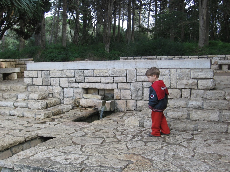 Rothschild Park 021