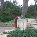 Rothschild Park 030
