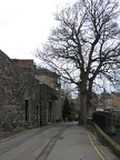 Stirling 039