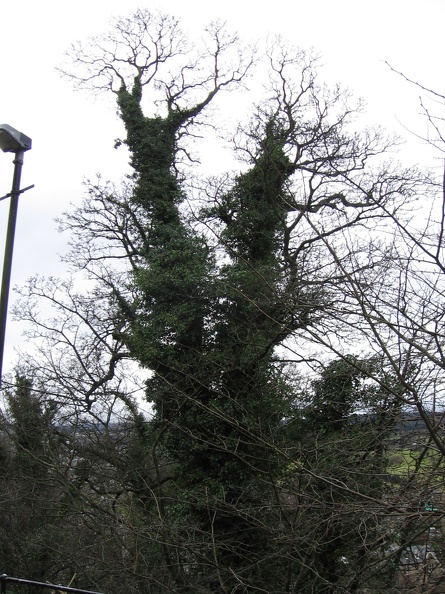 Stirling 047