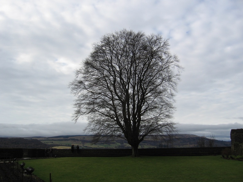 Stirling 096