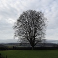 Stirling 096