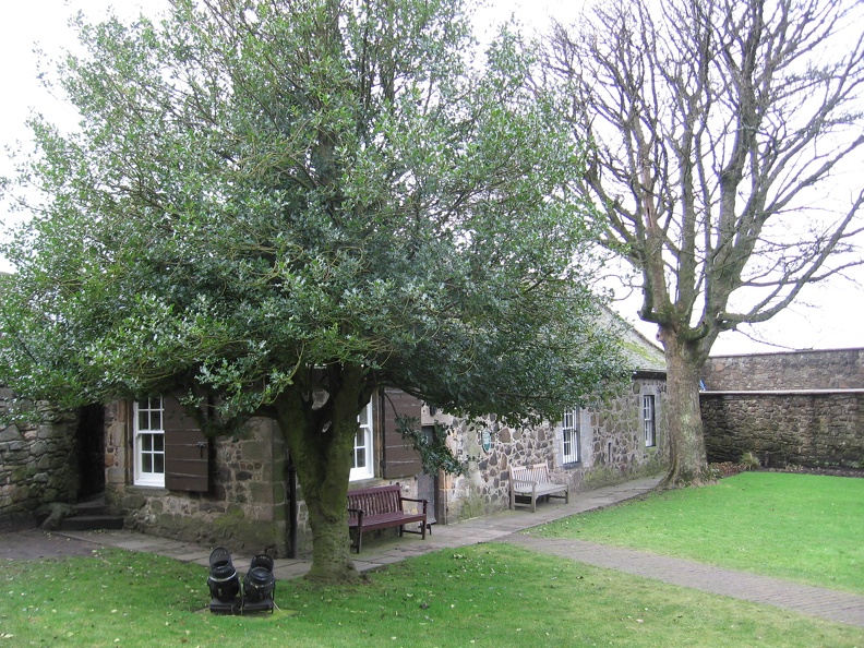Stirling 195