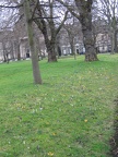 Edinburgh 608