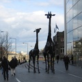 Edinburgh 469