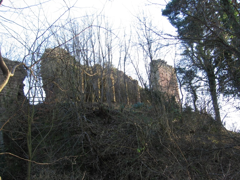 Roslin 111