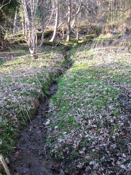 Roslin 115