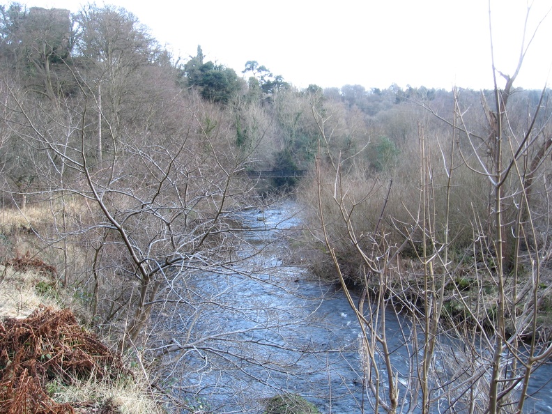 Roslin 119