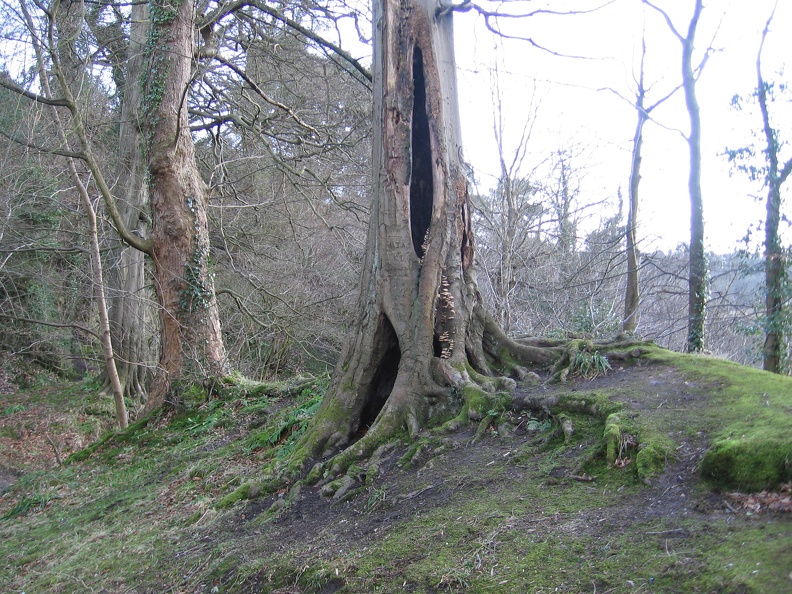 Roslin 120