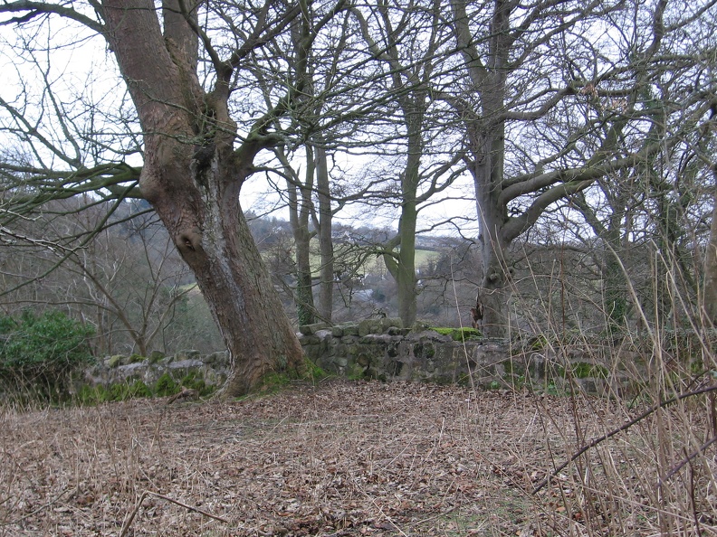 Roslin 029