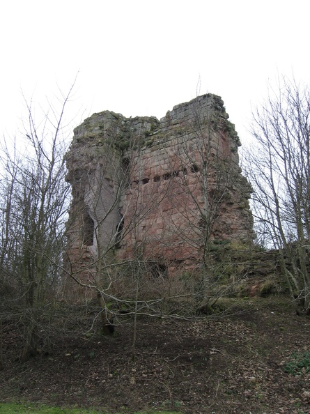 Roslin 039