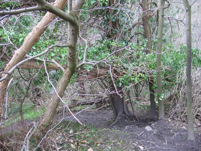 Roslin 045