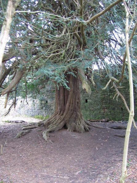 Roslin 050