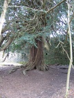 Roslin 050