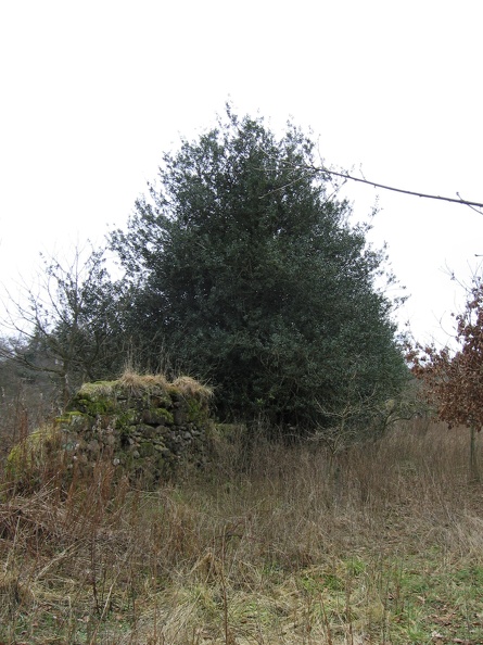 Roslin 055