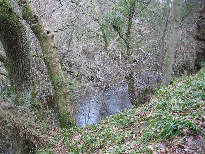 Roslin 056
