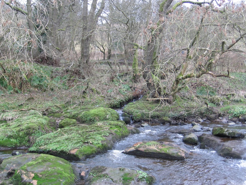 Roslin 060