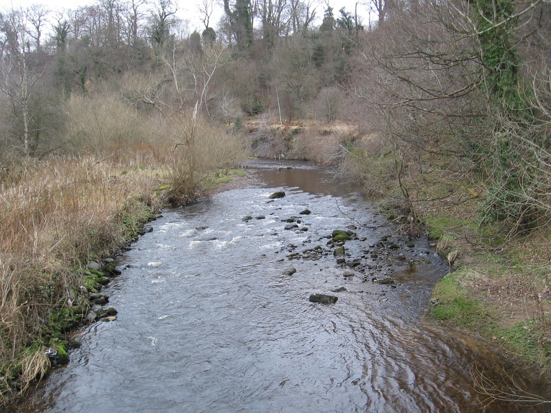 Roslin 068