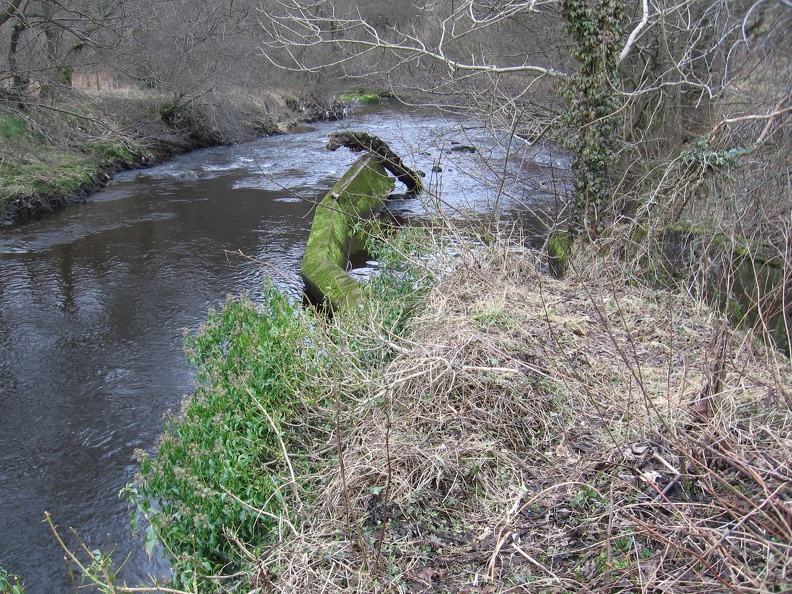 Roslin 071