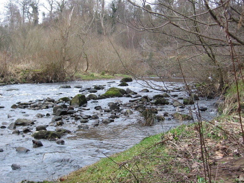 Roslin 074