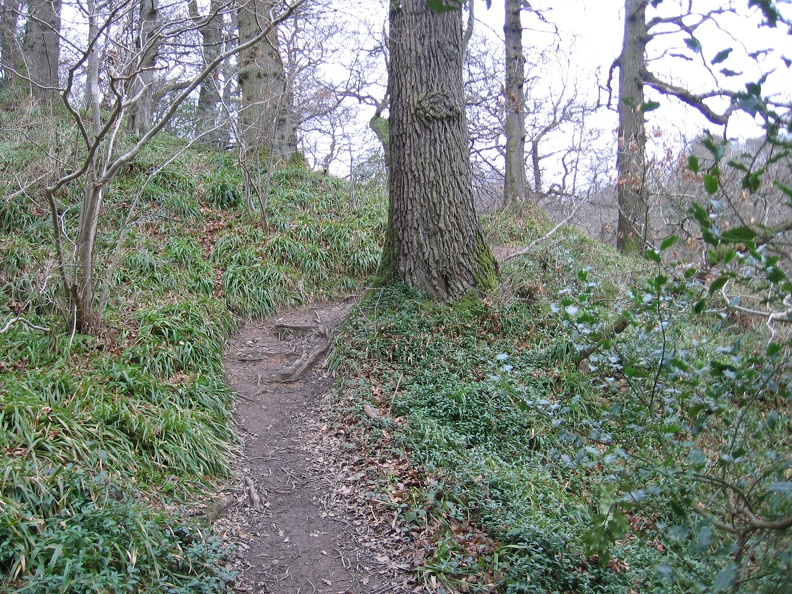 Roslin 084