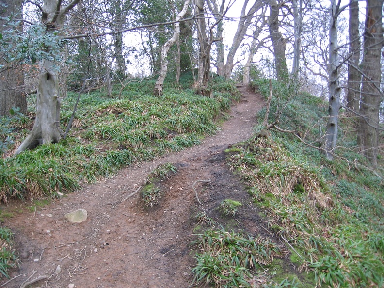 Roslin 085