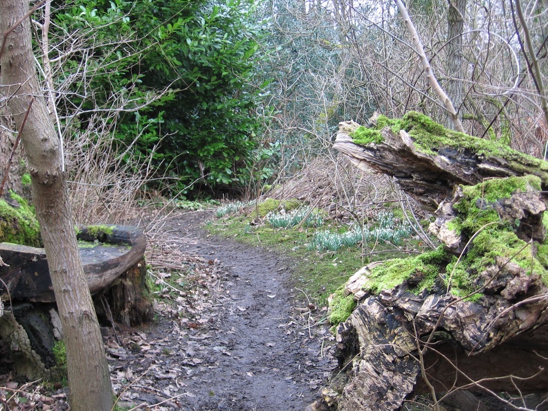 Roslin 086