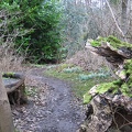 Roslin 086